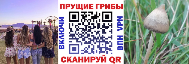 Купить  Беслан  Галлюциногенные грибы мухоморы 